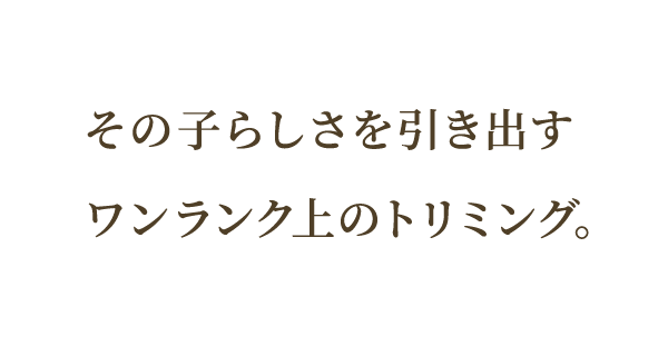 その子らしさを引き出すワンランク上のトリミング。