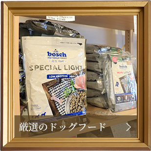 厳選のドッグフード